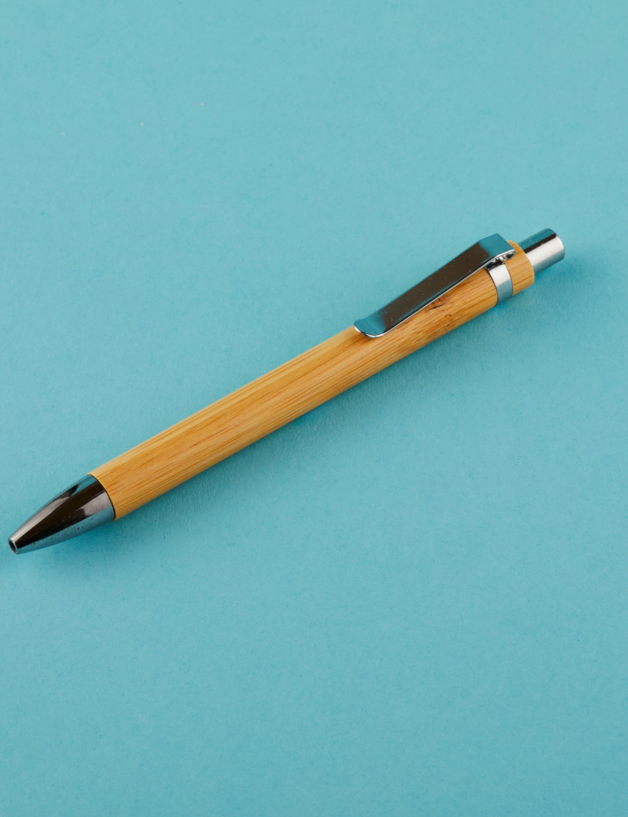 Leafix (Bamboo Notebook & Pen)